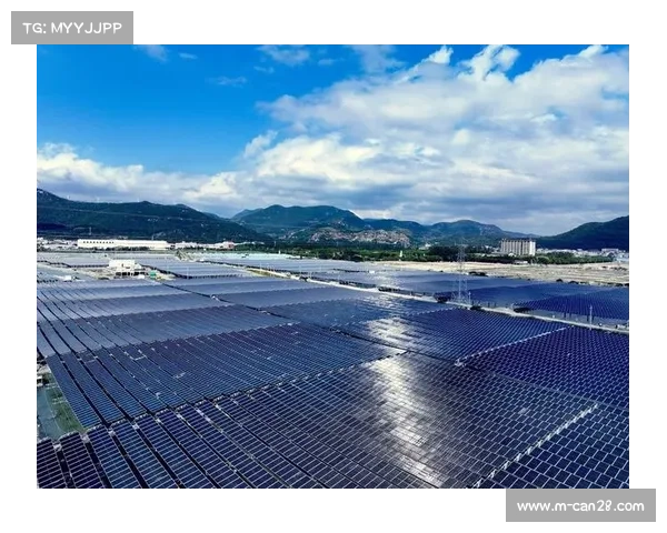 温布尔顿启动屋顶光伏计划力争成为首个实现能源自给的大满贯赛事 温布尔顿启动屋顶光伏计划力争成为首个实现能源自给的大满贯赛事